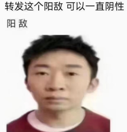 阳敌护体什么意思