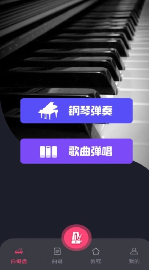 指尖上的钢琴大师APP最新版图片1