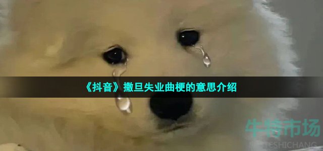 《抖音》撒旦失业曲梗的意思介绍