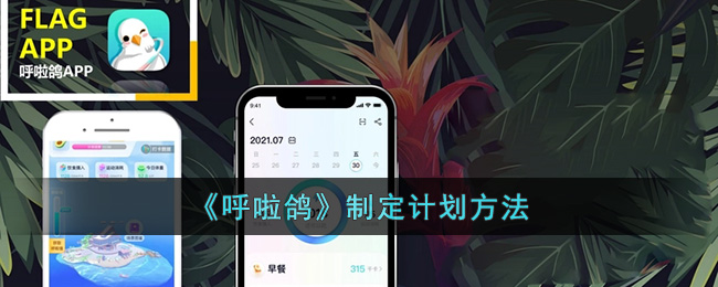 《呼啦鸽》制定计划方法